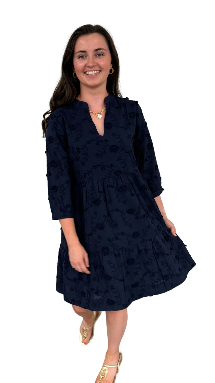 The Preston Navy Embroidered Cotton Dress — view 3