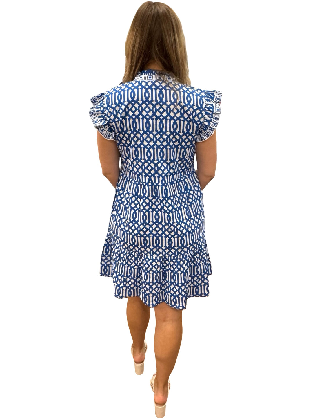 The Campbell Flutter Sleeve Dress in Blue White Trellis Print