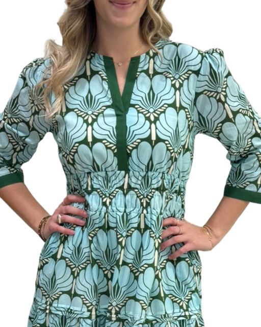 The Sydney Cotton Cinch Waist Dress in Blue Green Fan Print — view 5
