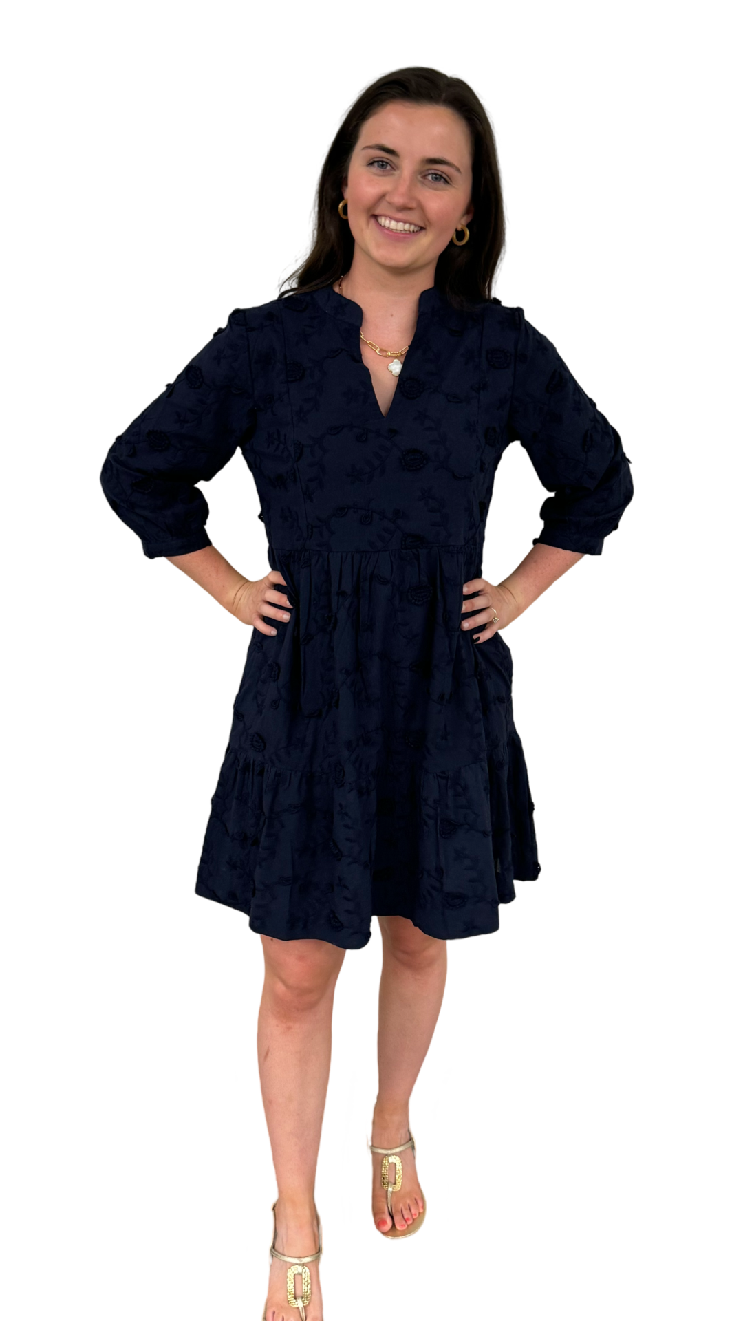 The Preston Navy Embroidered Cotton Dress