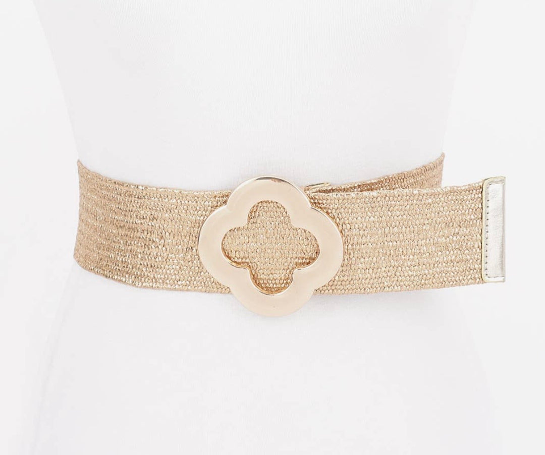 Metal Buckle Gold Metallic Belt