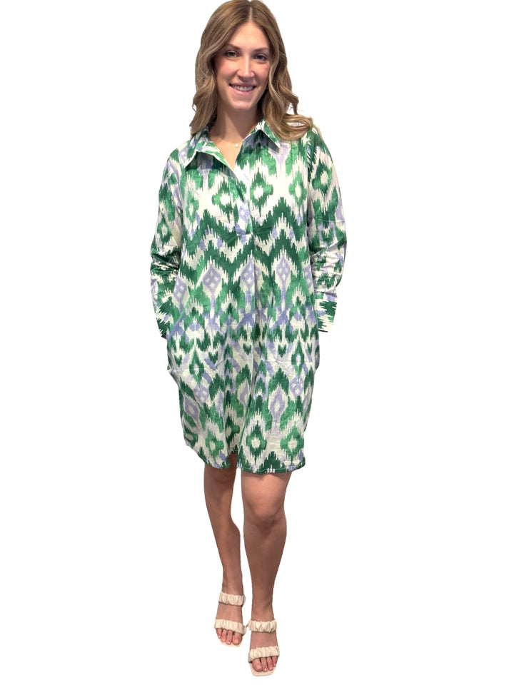 The Holland Cotton Shirt Dress in Green Ikat — view 9