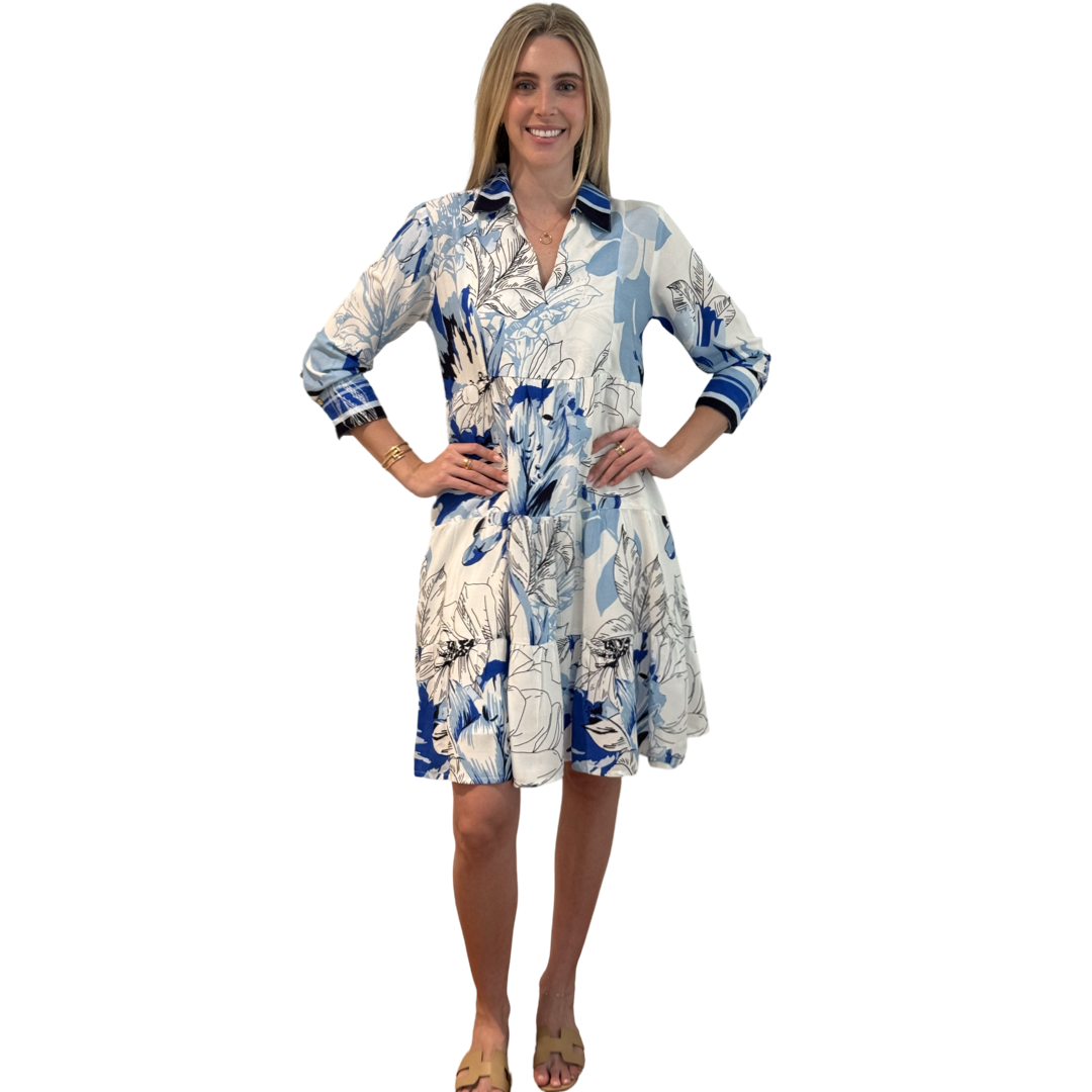 The Annie Easy Fit Collared Dress in Blue Striped Floral