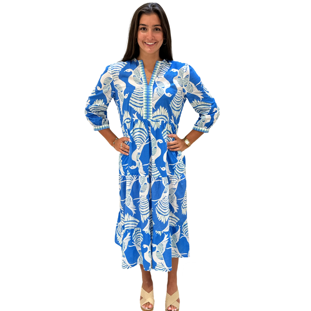 The Daniella Embroidered Trim Cotton Dress in Blue Green Bird Print