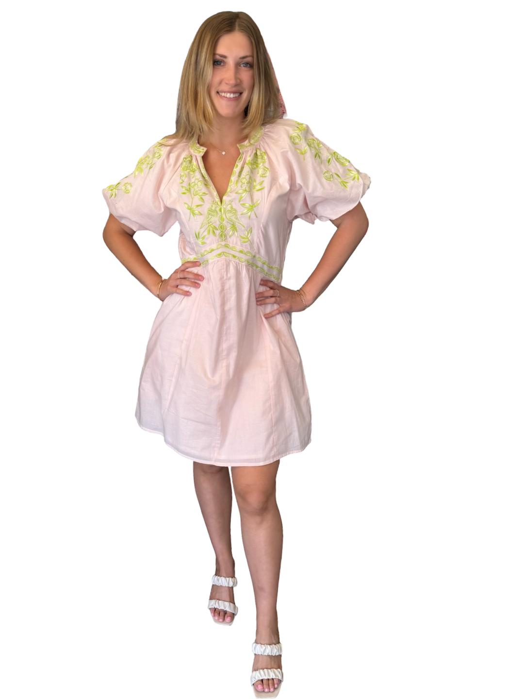 The Gabby Embroidered Cotton Dress in Sand