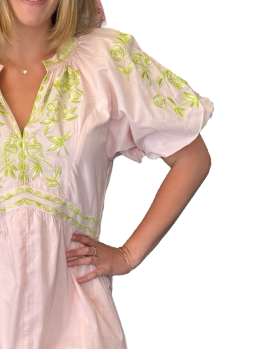 The Gabby Embroidered Cotton Dress in Sand — view 8