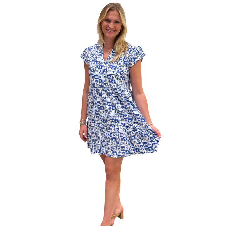 The Preston Side Pocket  Dress in Royal and White — view 3