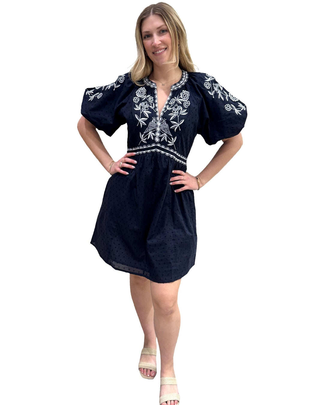 The Gabby Embroidered Short Cotton Dress in Navy and White