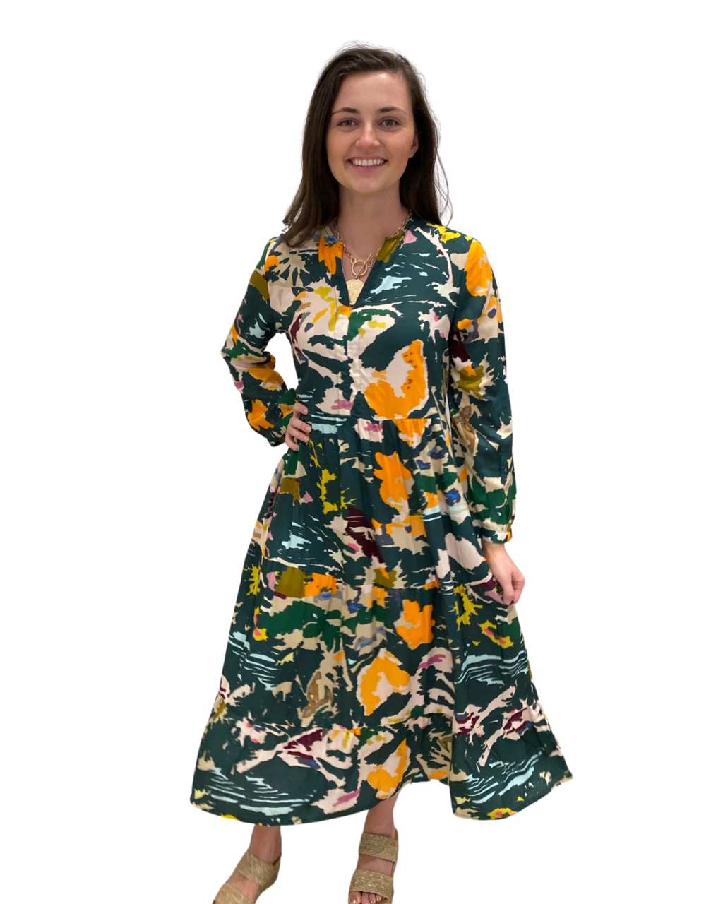 daniella midi dress AMUR Daniella Printed Midi Dress