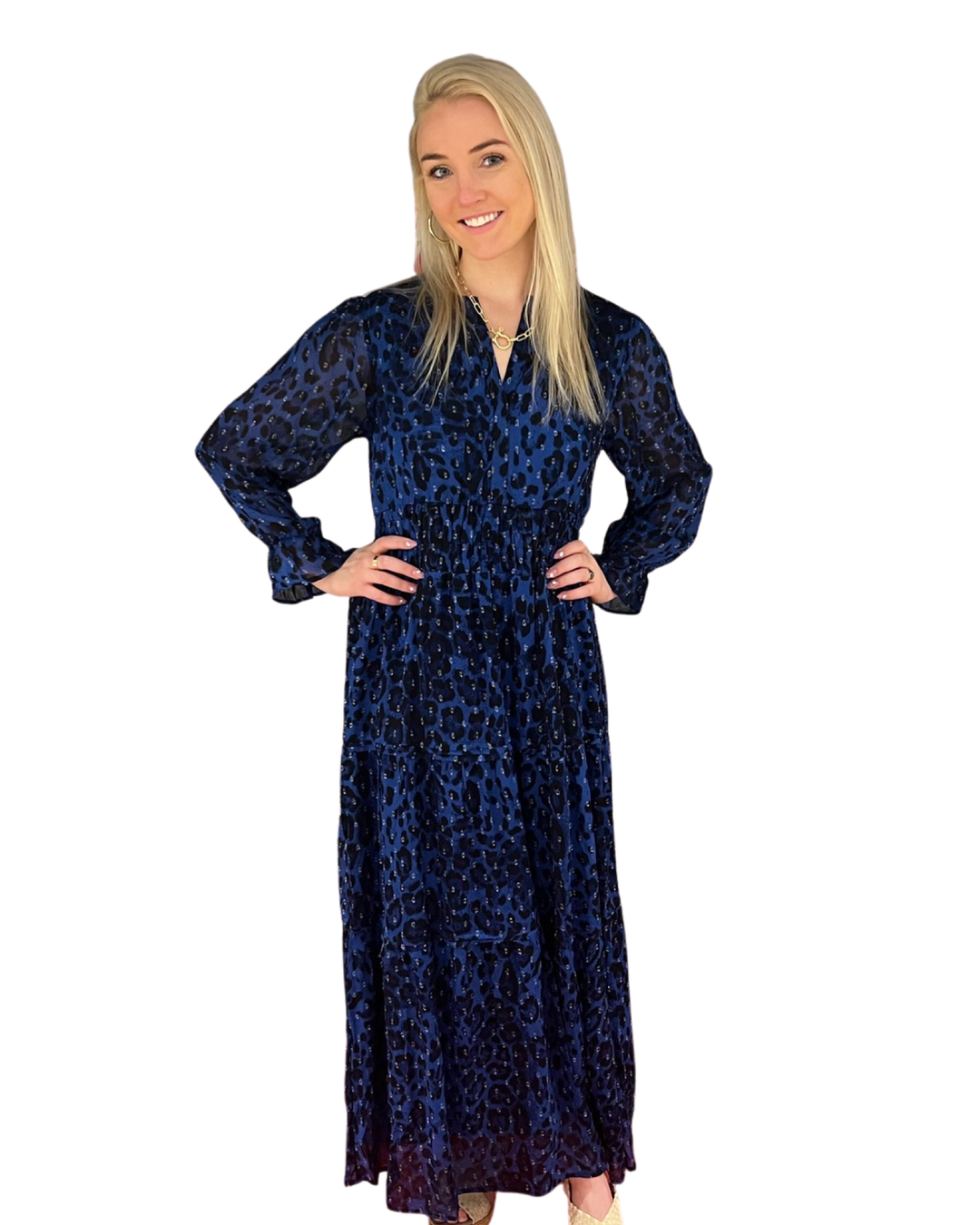 The Sydney Long Length Dress in Blue and Black