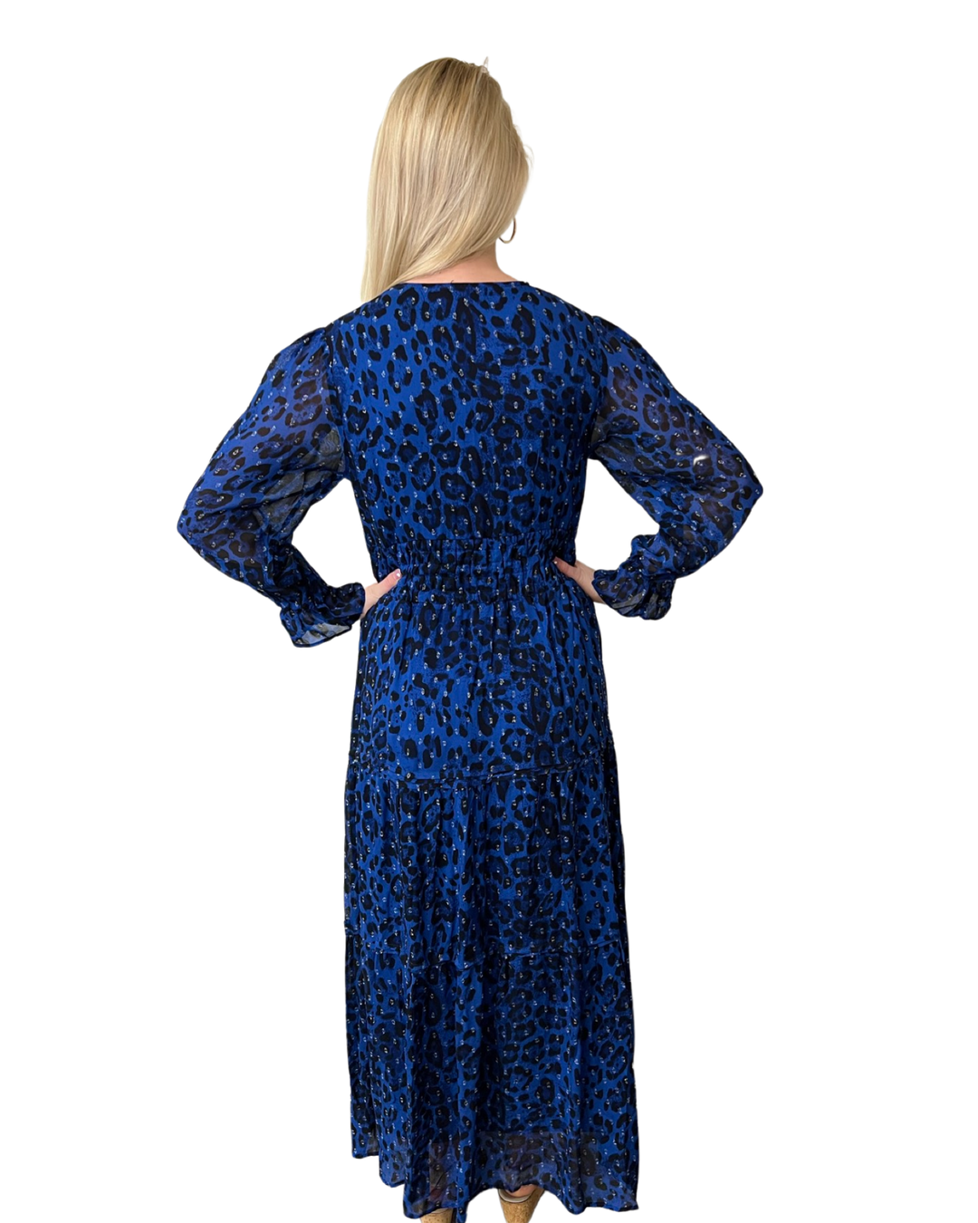 The Sydney Long Length Dress in Blue and Black — view 4