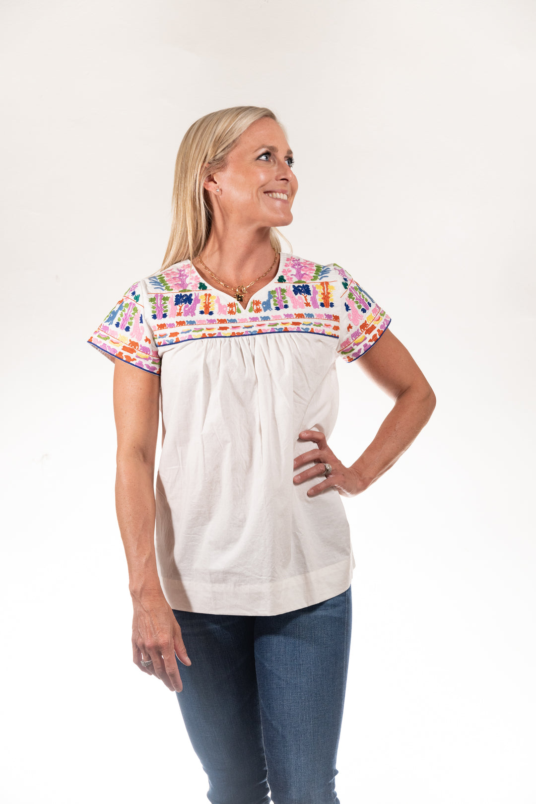 The Aubrey Multi Colored Short Sleeve Embroidered Cotton Top